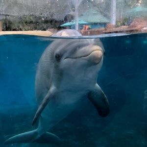 Meet your Posher, Ksenia